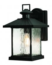 AFX Lighting, Inc. LNNW0914MBBK - Lennon 14" Outdoor Wall Lantern