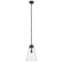 Kichler 52661BKCLR - Pendant Medium 1Lt