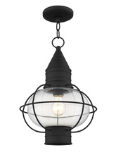 Livex Lighting 26906-04 - 1 Light Black Outdoor Chain Lantern