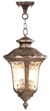 Livex Lighting 7665-50 - 3 Light Moroccan Gold Chain Lantern