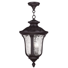 Livex Lighting 7858-07 - 3 Light Bronze Chain Lantern