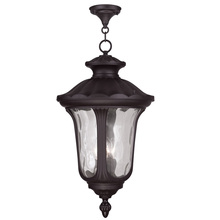 Livex Lighting 7865-07 - 3 Light Bronze Chain Lantern