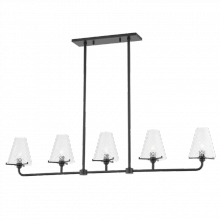 Mitzi H495905-SBK - 5 Light Linear