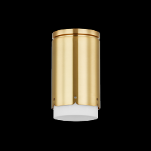 Mitzi H870501-AGB - ASA Flush Mount