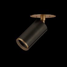 Troy Orange C1305-PBR/BRZ - Caleb Flush Mount