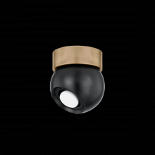 Troy Orange C1406-PBR/SBK - ODIN Flush Mount