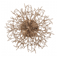 Troy Orange C6090-VZ - Sierra Flush Mount