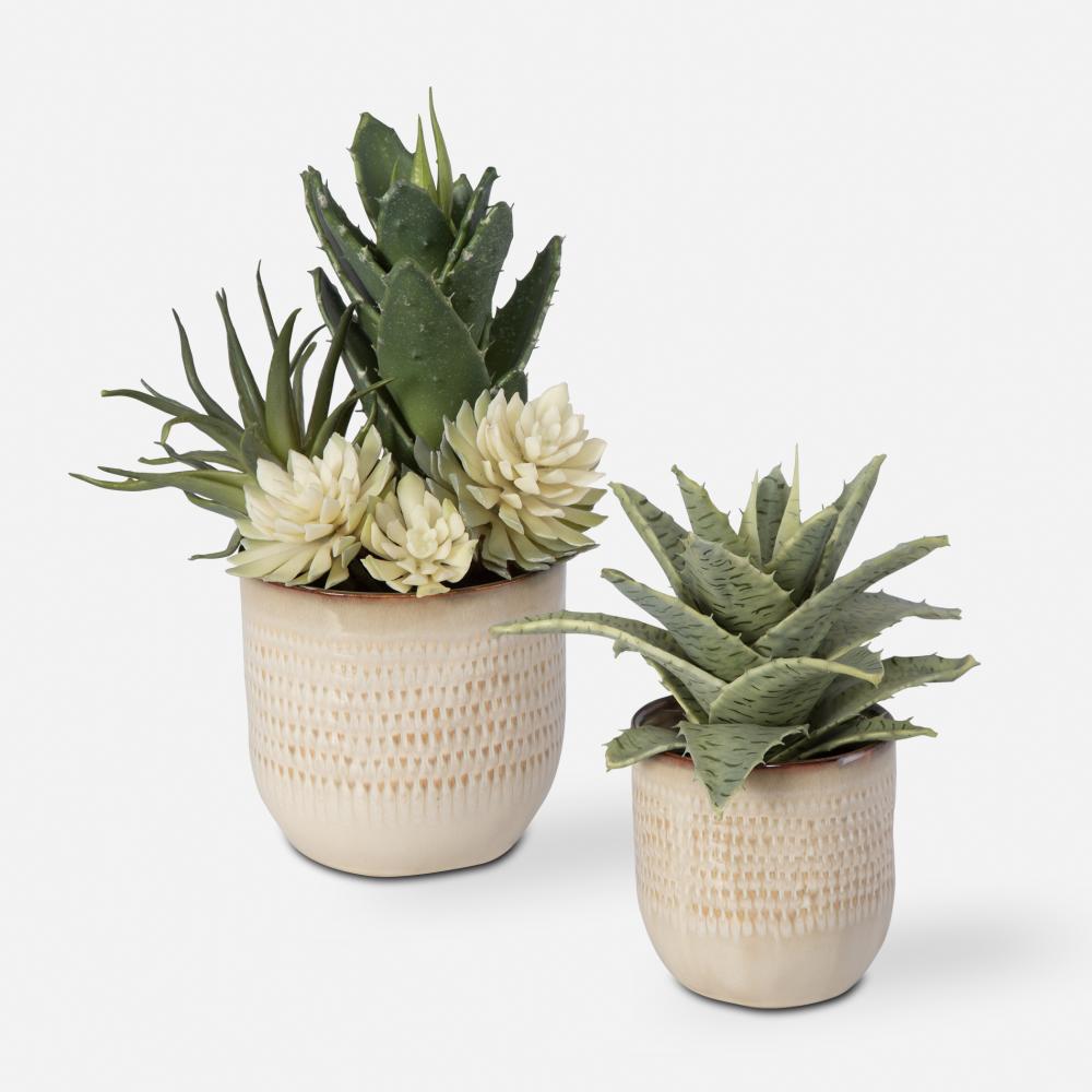 Uttermost Seaside Succulents Set/2