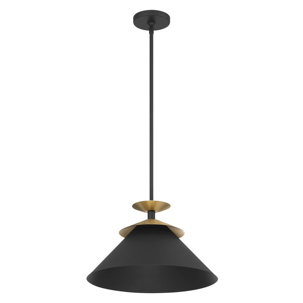 1L Pendant Light