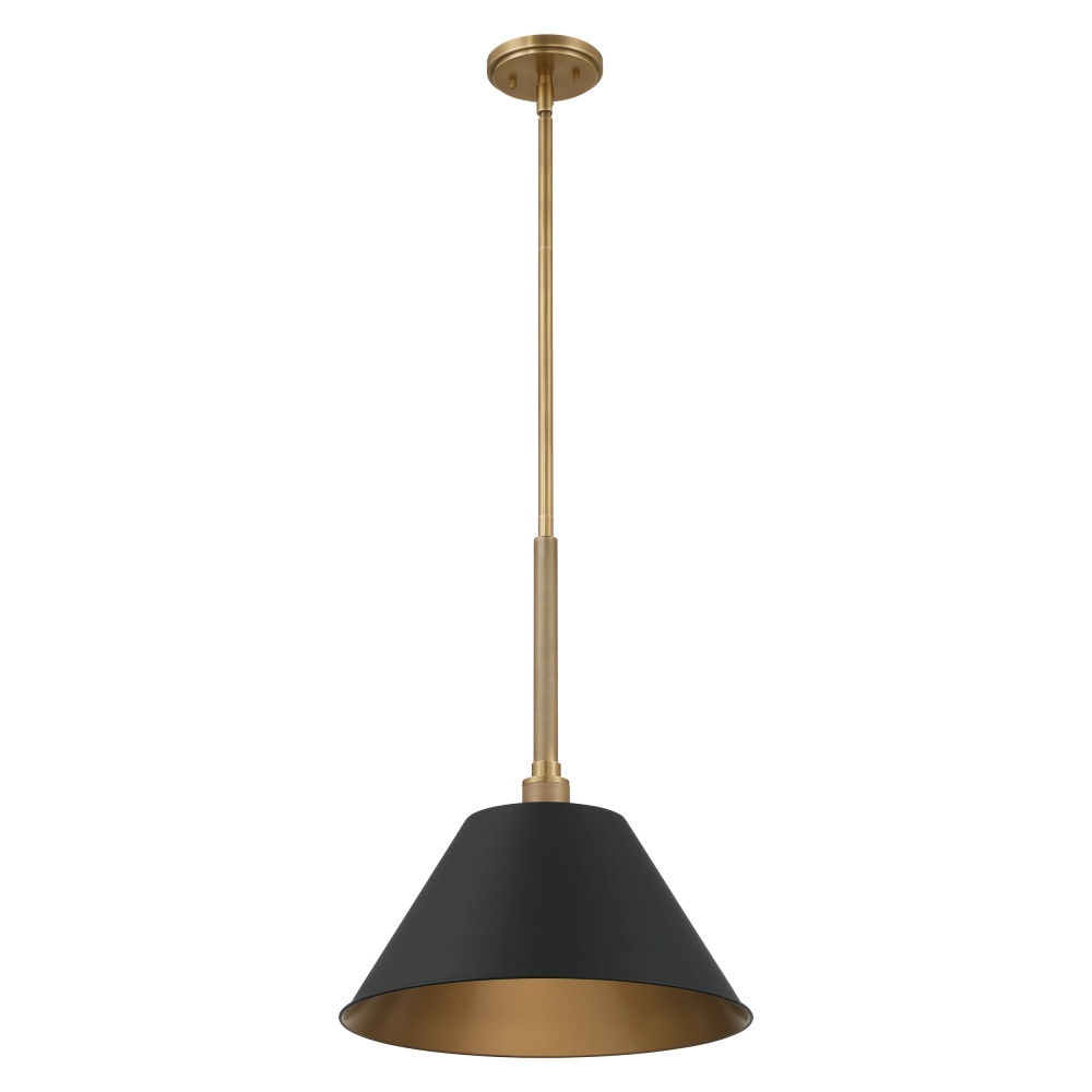 1L Pendant Light