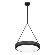Thesis 207423A - 4L Pendant Light