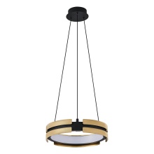 Thesis 206939A - LED Convertible Pendant Light