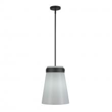Artcraft AC10640BK - Pendant
