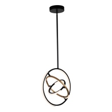 Artcraft AC6740BB - Pendant