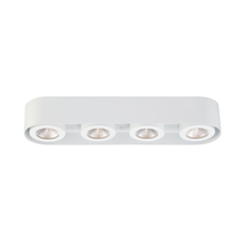 Eurofase Gold US 33619-019 - NYMARK,4LT LED SURFACE MNT,WHT