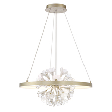 Eurofase Gold US 37342-012 - CLAYTON,CHANDELIER,LED,SLV/GOL