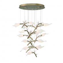 Eurofase Gold US 47227-019 - Matera Chandelier in Gold