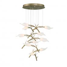 Eurofase Gold US 47229-013 - Matera Chandelier in Gold