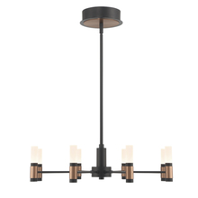 Eurofase Gold US 46352-019 - Albany 8 Light Chandelier in Black and Brass