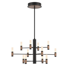Eurofase Gold US 46353-016 - Albany 12 Light Chandelier in Black and Brass