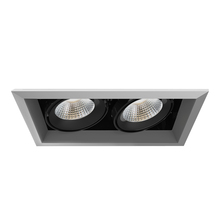 Eurofase Gold US TE132LED-35-2-0N - MULT,26W,TRM,2LT,35K,PT/BLK