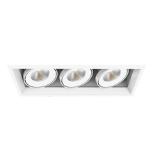 Eurofase Gold US TE133LED-30-2-02 - MULT,26W,TRM,3LT,30K,WHT/BLK