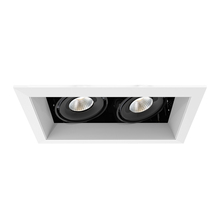 Eurofase Gold US TE162LED-40-4-02 - MULT,15W,TRM,2LT,40K,WHT/BLK