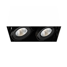 Eurofase Gold US TE222LED-30-4-01 - MULT,26W,TRMLS,2LT,30K,BLK