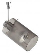 Besa Lighting SP-6524ES-18-SN - Besa Spotlight With 18" Stem Scope 4 Satin Nickel Smoke/Frost 1x50W Bipin MR16