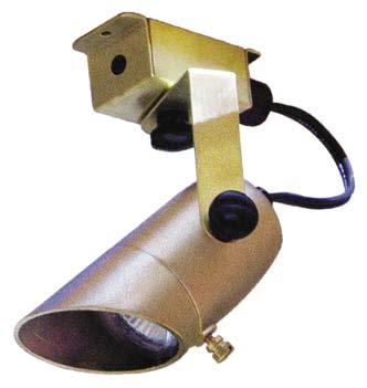 Brass Outdoor Directional Light