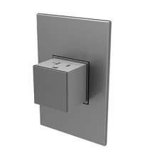 Legrand ARPTR201GM2 - adorne 20A One-Gang Pop-Out Outlet, Magnesium
