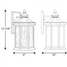 PROG_P6072dimensions_lineart.jpg