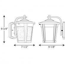 PROG_P6078dimensions_lineart.jpg