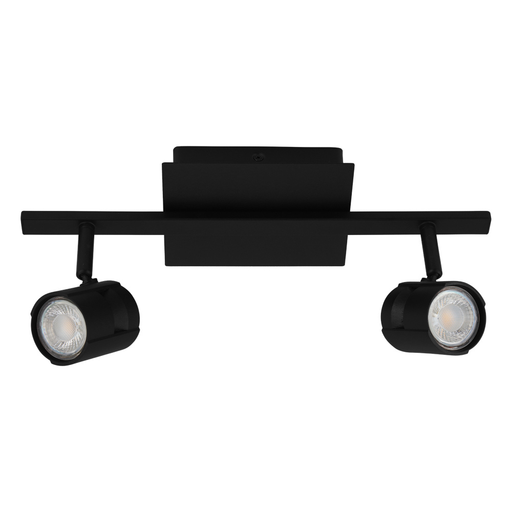 2L Track Light