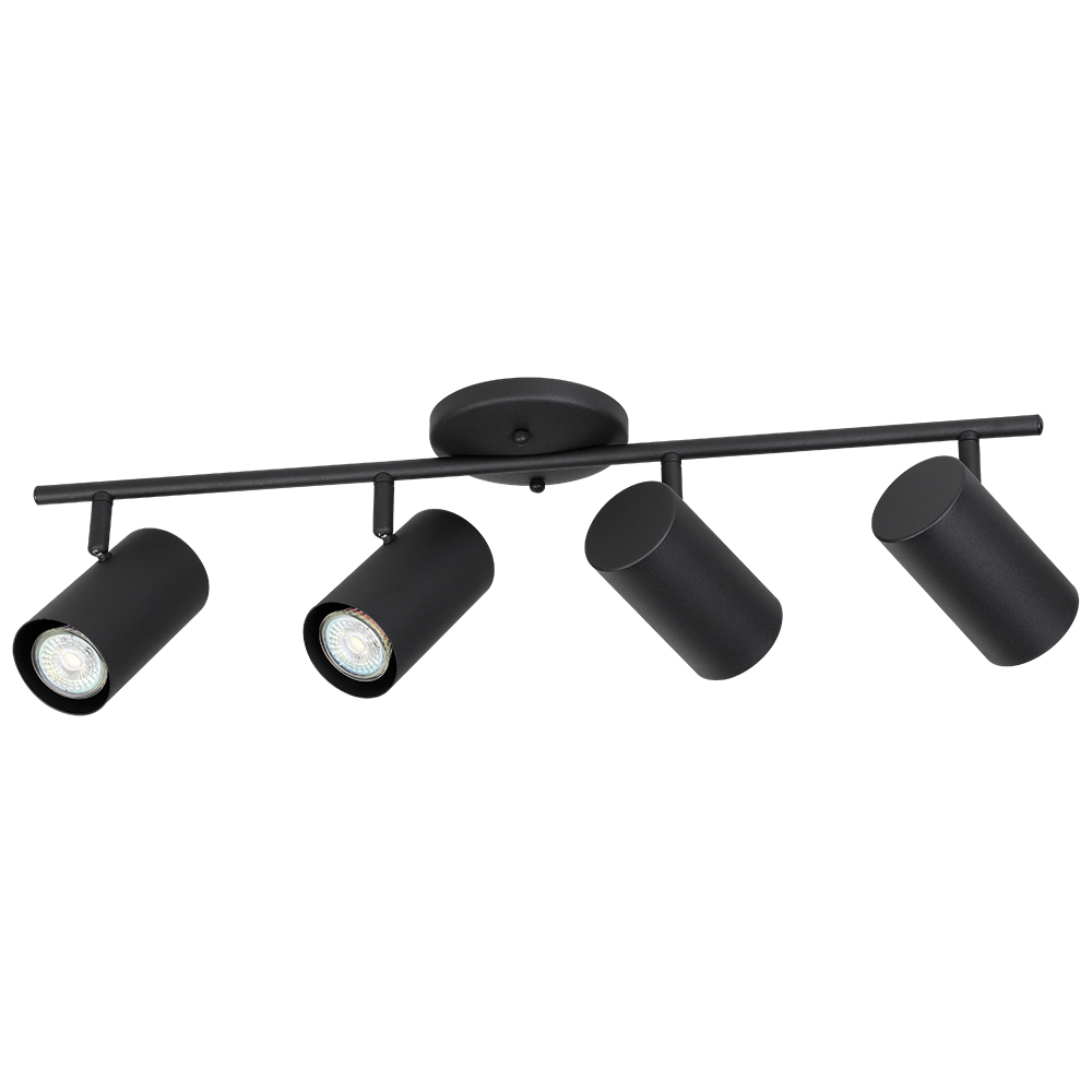 4L Track Light