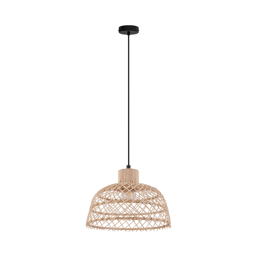 1L Pendant Light