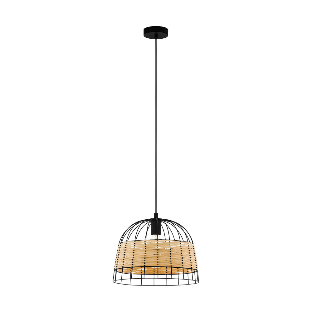 1L Pendant Light