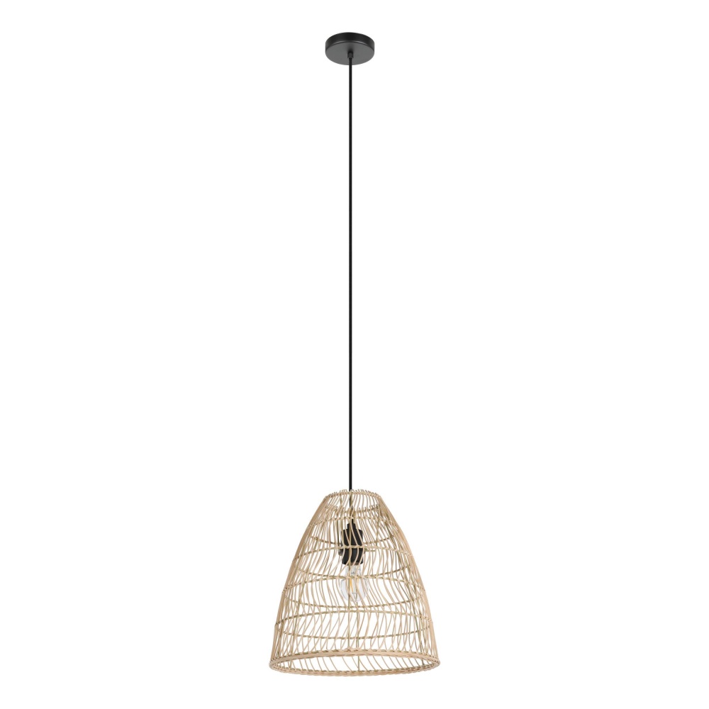 1L Pendant Light
