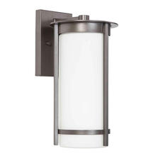 Eglo 203112A - 1x60W Outdoor Wall Light w/ Graphite Finish & White Glass