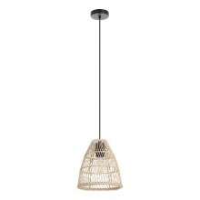 Eglo 205837A - 1L Pendant Light