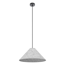 Eglo 206889A - 1L Pendant Light