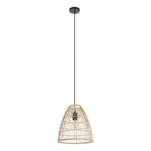 Eglo 43866A - 1L Pendant Light
