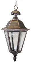 Melissa Lighting 1251 - Avanti 1200 Series Hanging Model 1251 Medium Outdoor Wall Lantern