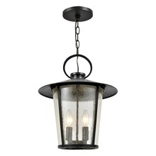 Crystorama AND-9204-SD-MK - Andover 4 Light Matte Black Outdoor Chandelier