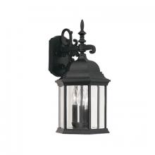 Designers Fountain 2981-BK - Devonshire 19" 3-Light Outdoor Wall Lantern