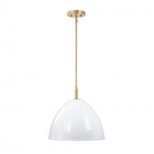 Designers Fountain D300M-15P-BG - Biba 15" 1-Light Pendant