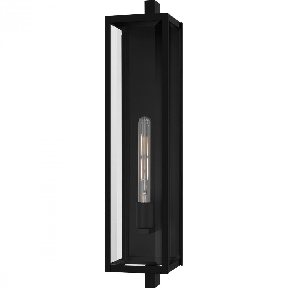 Dale 1-Light Matte Black Outdoor Wall Lantern