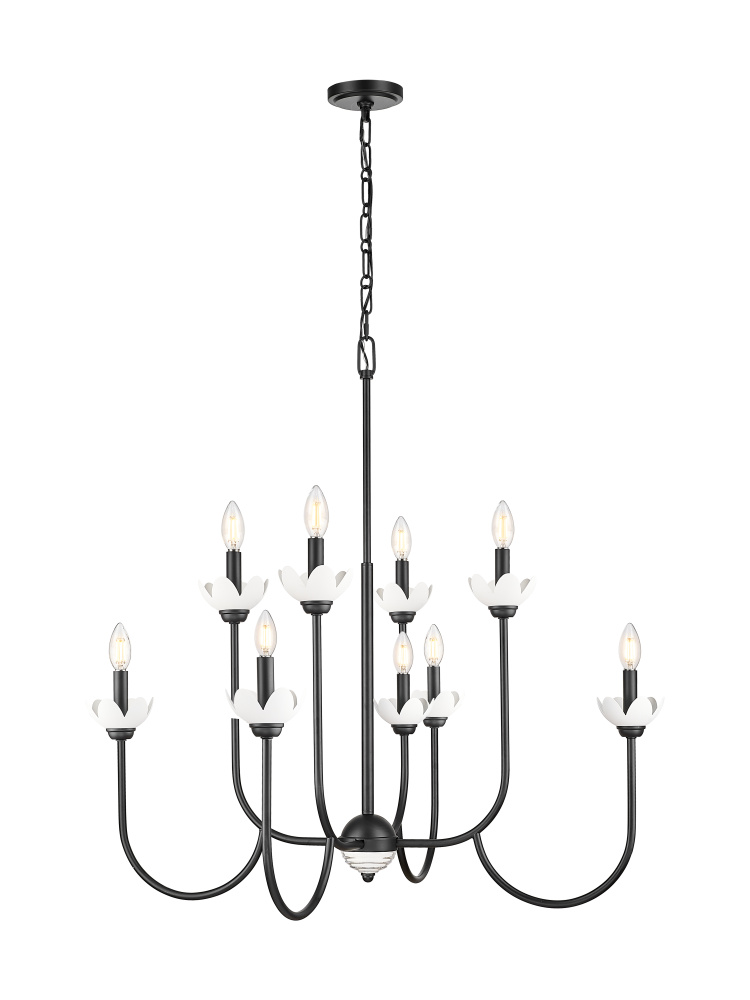 8 Light Chandelier