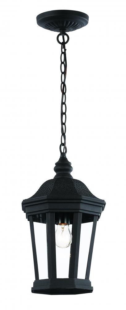 Westfield Hexagon Shaped, Clear Glass Outdoor Pendant Light with Chain