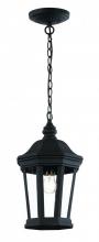Trans Globe 40405 BK - Westfield Hexagon Shaped, Clear Glass Outdoor Pendant Light with Chain